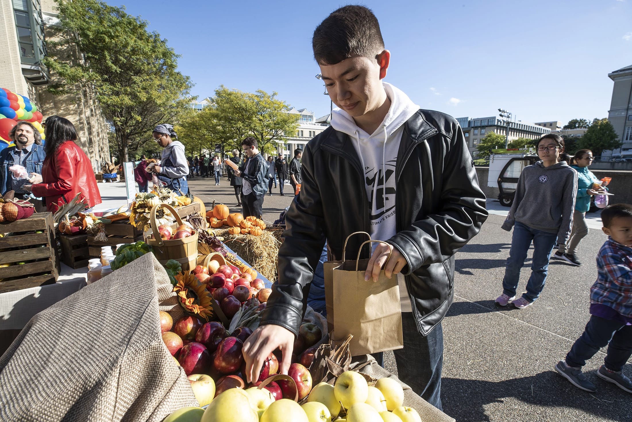 Student picking produce at the Fall Harvest Market.