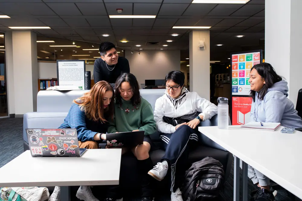 Students work together in the Hunt Library, Sustainability Studio, November 9, 2022.